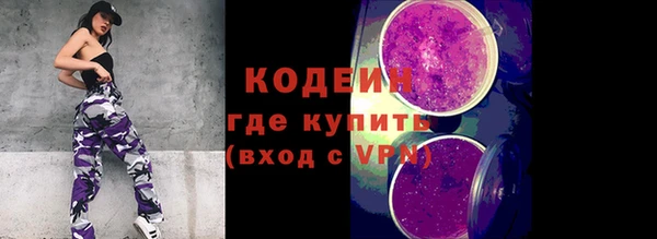 хмурый Аркадак