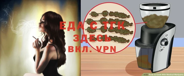 хмурый Аркадак
