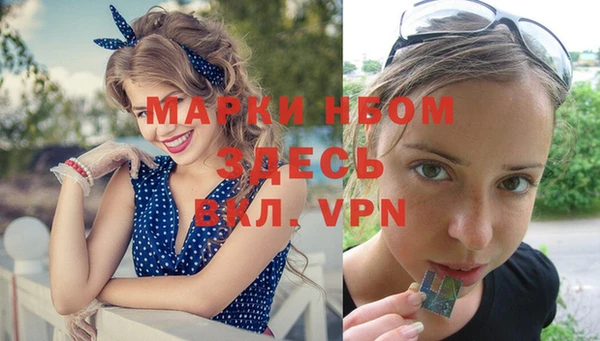 хмурый Аркадак