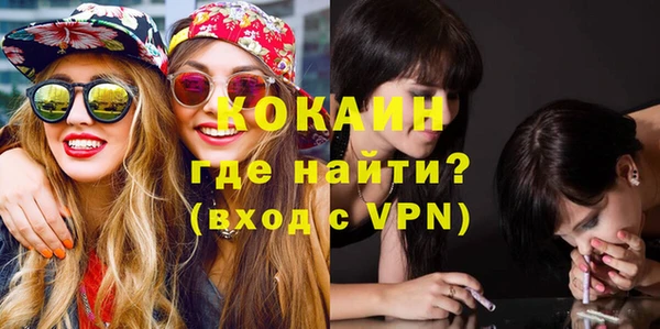 хмурый Аркадак
