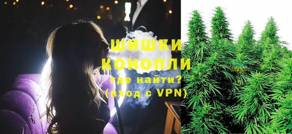 спиды Арсеньев