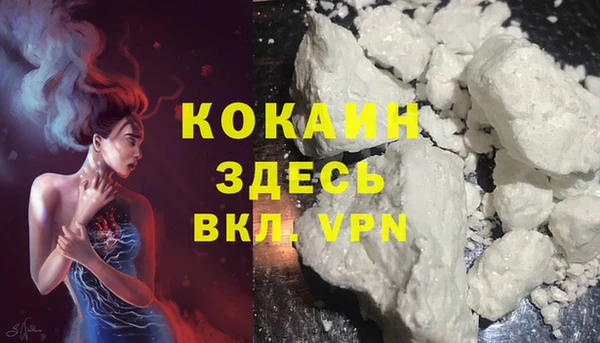 хмурый Аркадак