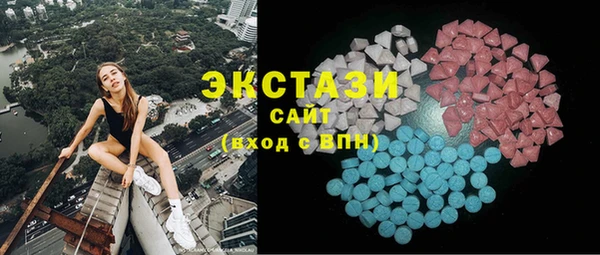 хмурый Аркадак