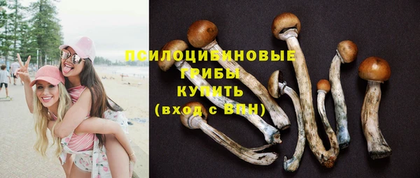 крисы Армянск