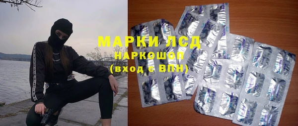 хмурый Аркадак