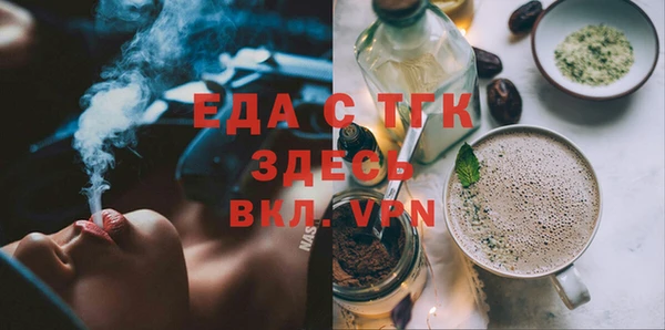 хмурый Аркадак